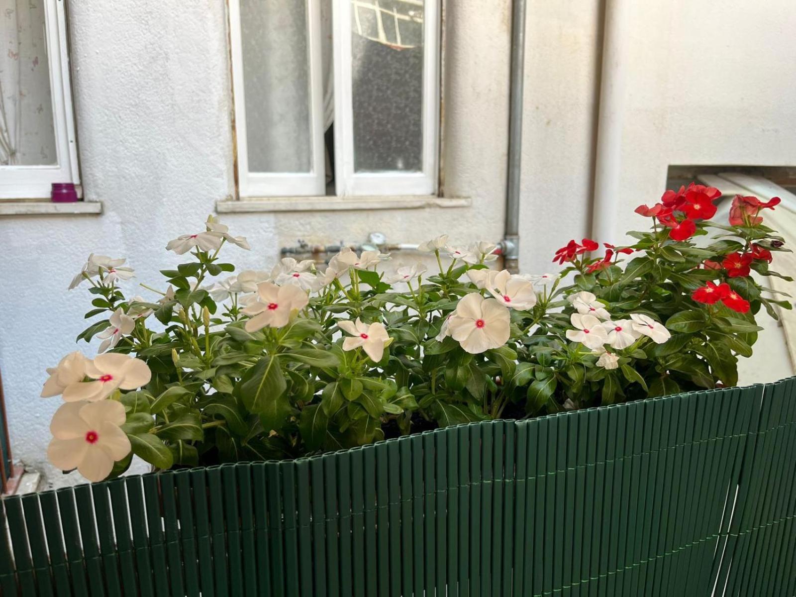مبيت وإفطار باليرمو Casa Dei Nonni Di Yuri المظهر الخارجي الصورة